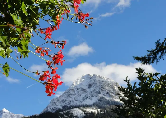 아파트 Gastehaus Luise